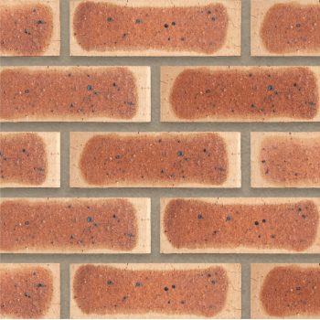 Face Brick